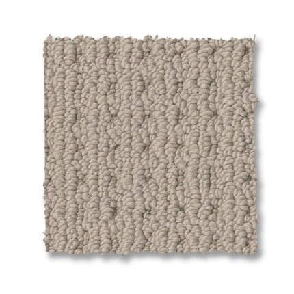 San Lucas - ZZ095_00772-Carpet