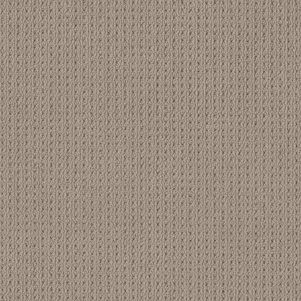San Lucas - ZZ095_00774-Carpet