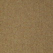 All Star