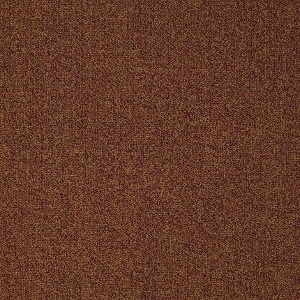 SCOREBOARD II 28 - 54675 - 00806 - Carpet