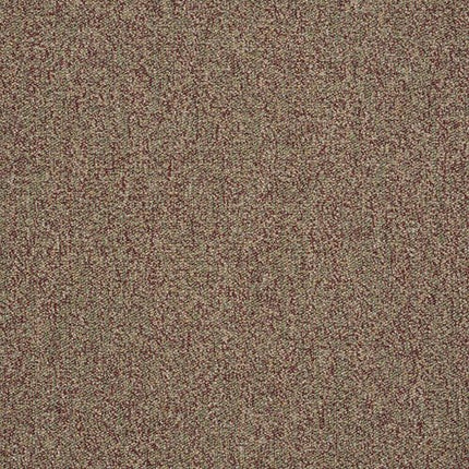 SCOREBOARD II 28 - 54675 - 00210 - Carpet