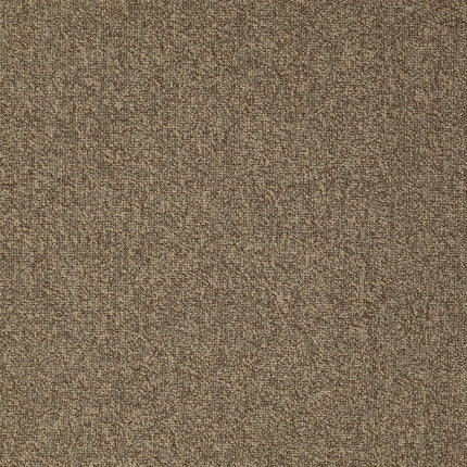SCOREBOARD II 28 - 54675 - 00110 - Carpet
