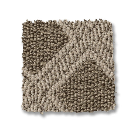 Scout - ZZ073_00717-Carpet