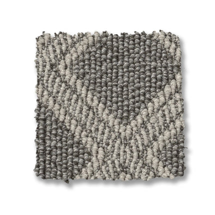 Scout - ZZ073_00556-Carpet