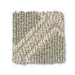 Soft Fern