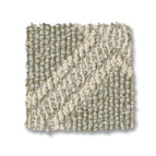 Soft Fern
