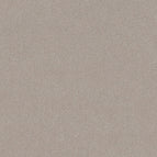 Chic Taupe