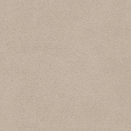 Secret Adventure - 5E901_00120-Carpet