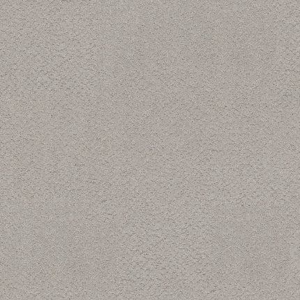 Secret Adventure - 5E901_00520-Carpet