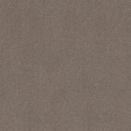 Secret Adventure - 5E901_00722-Carpet