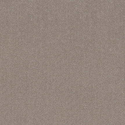 Secret Adventure - 5E901_00721-Carpet