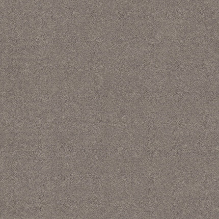 Secret Adventure - 5E901_00524-Carpet