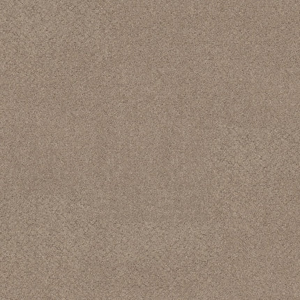Secret Adventure - 5E901_00123-Carpet