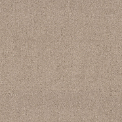 Secret Destination - 5E876_00720-Carpet