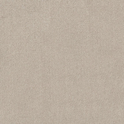 Secret Destination - 5E876_00121-Carpet