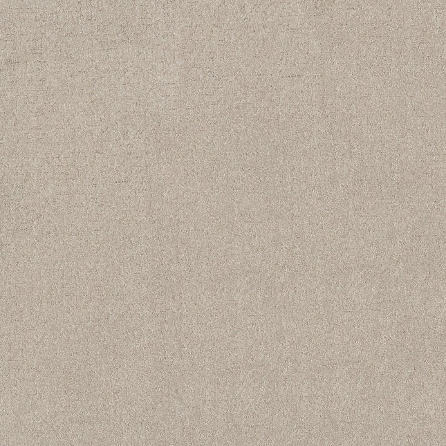 Secret Destination - 5E876_00121-Carpet