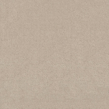 Secret Destination - 5E876_00122-Carpet