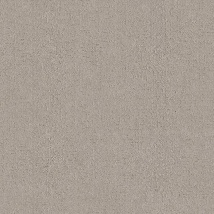 Secret Destination - 5E876_00124-Carpet