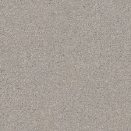 Secret Destination - 5E876_00520-Carpet