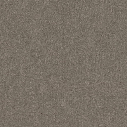 Secret Destination - 5E876_00722-Carpet