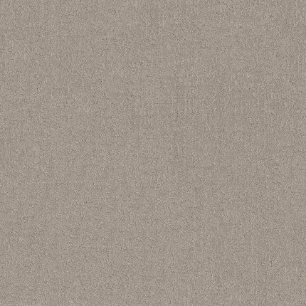 Secret Destination - 5E876_00523-Carpet
