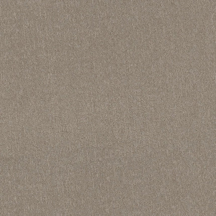 Secret Destination - 5E876_00721-Carpet