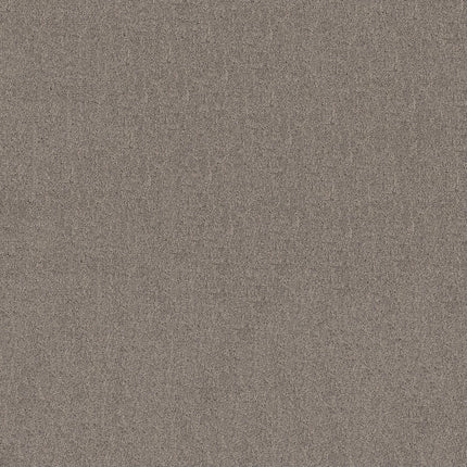 Secret Destination - 5E876_00524-Carpet