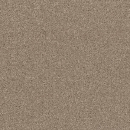 Secret Destination - 5E876_00123-Carpet