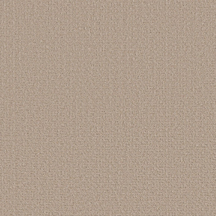 Secret Journey - 5E875_00720-Carpet