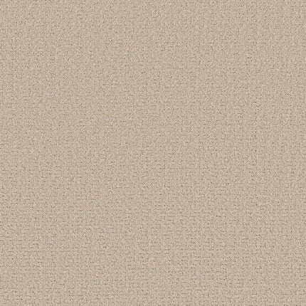 Secret Journey - 5E875_00122-Carpet