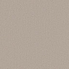 Chic Taupe
