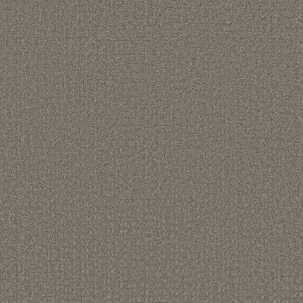 Secret Journey - 5E875_00722-Carpet
