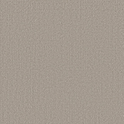 Secret Journey - 5E875_00523-Carpet