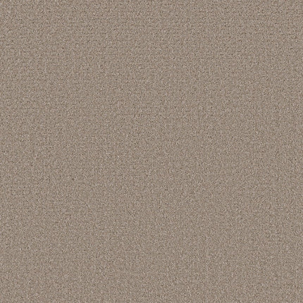 Secret Journey - 5E875_00721-Carpet