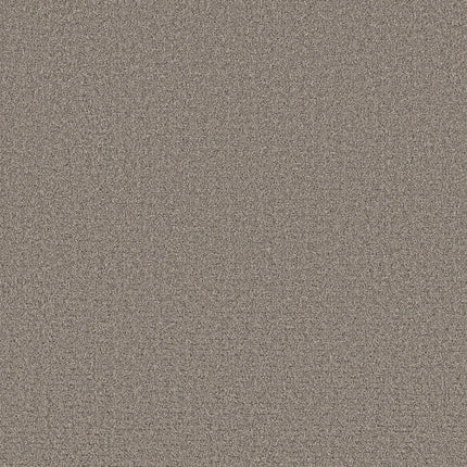Secret Journey - 5E875_00524-Carpet