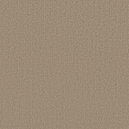 Secret Journey - 5E875_00123-Carpet