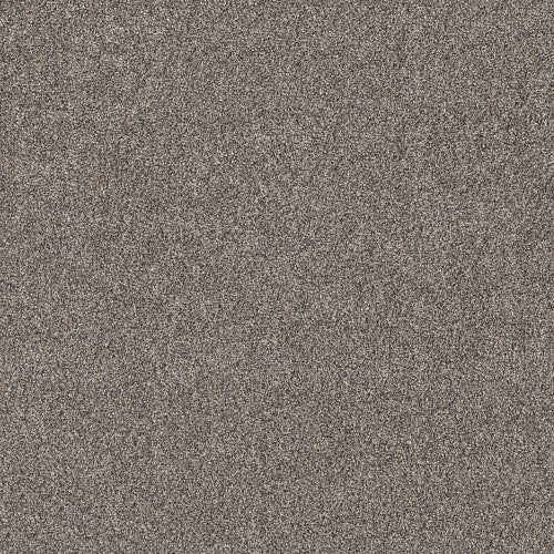 SHAKE IT UP (A) - E9446 - 00500 - Carpet