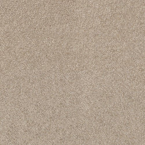 SHAKE IT UP (A) - E9446 - 00100 - Carpet