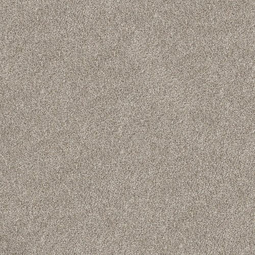 SHAKE IT UP (A) - E9446 - 00115 - Carpet