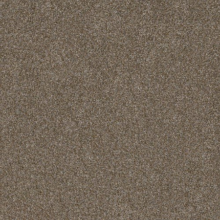 SHAKE IT UP (A) - E9446 - 00700 - Carpet