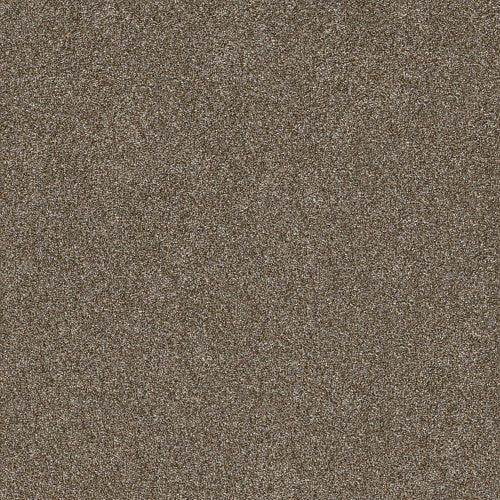 SHAKE IT UP (A) - E9446 - 00700 - Carpet