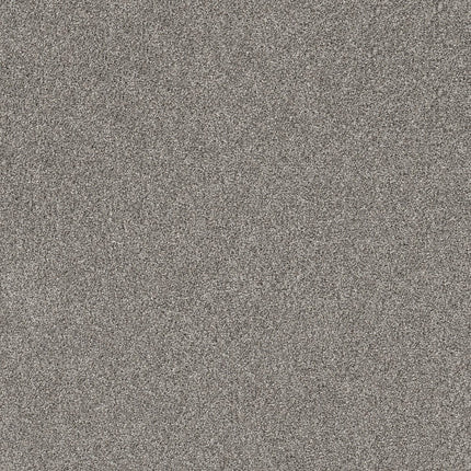 SHAKE IT UP (A) - E9446 - 00509 - Carpet