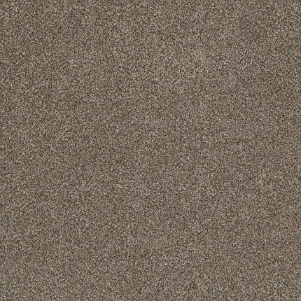 SHAKE IT UP (A) - E9446 - 00705 - Carpet