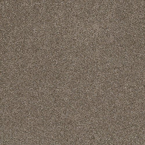 SHAKE IT UP (A) - E9446 - 00705 - Carpet