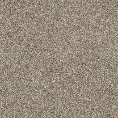 SHAKE IT UP (A) - E9446 - 00111 - Carpet