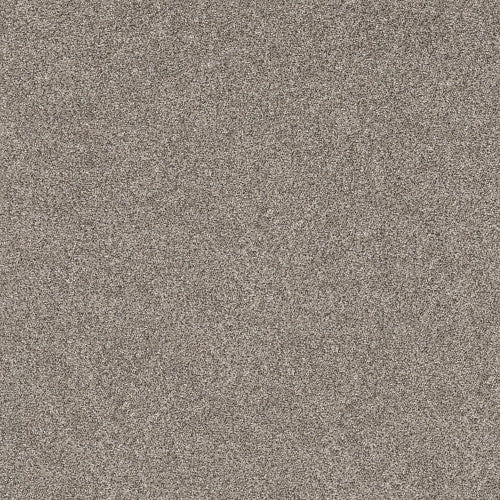 SHAKE IT UP (A) - E9446 - 00510 - Carpet