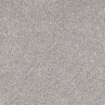 SHAKE IT UP (A) - E9446 - 00512 - Carpet