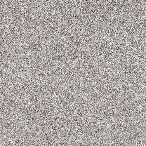 SHAKE IT UP (A) - E9446 - 00512 - Carpet