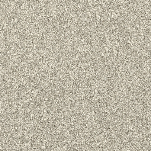 SHAKE IT UP (A) - E9446 - 00507 - Carpet