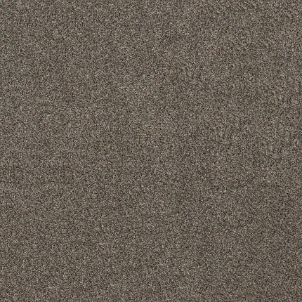 SHAKE IT UP (A) - E9446 - 00706 - Carpet